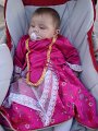 DSC01550