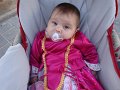 DSC01551