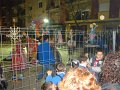 DSC01595